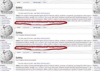 Wikipedia - Safety Not Guaranteed