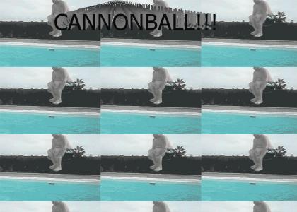 CANNONBALL!!!