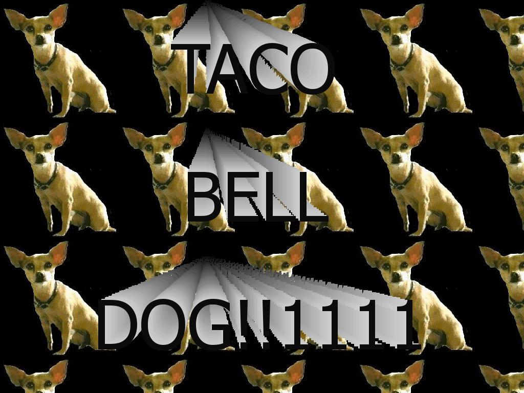 Taco-bell-dog