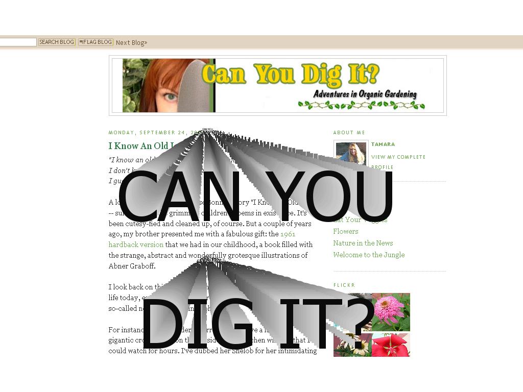 can-you-dig-it-blogspot