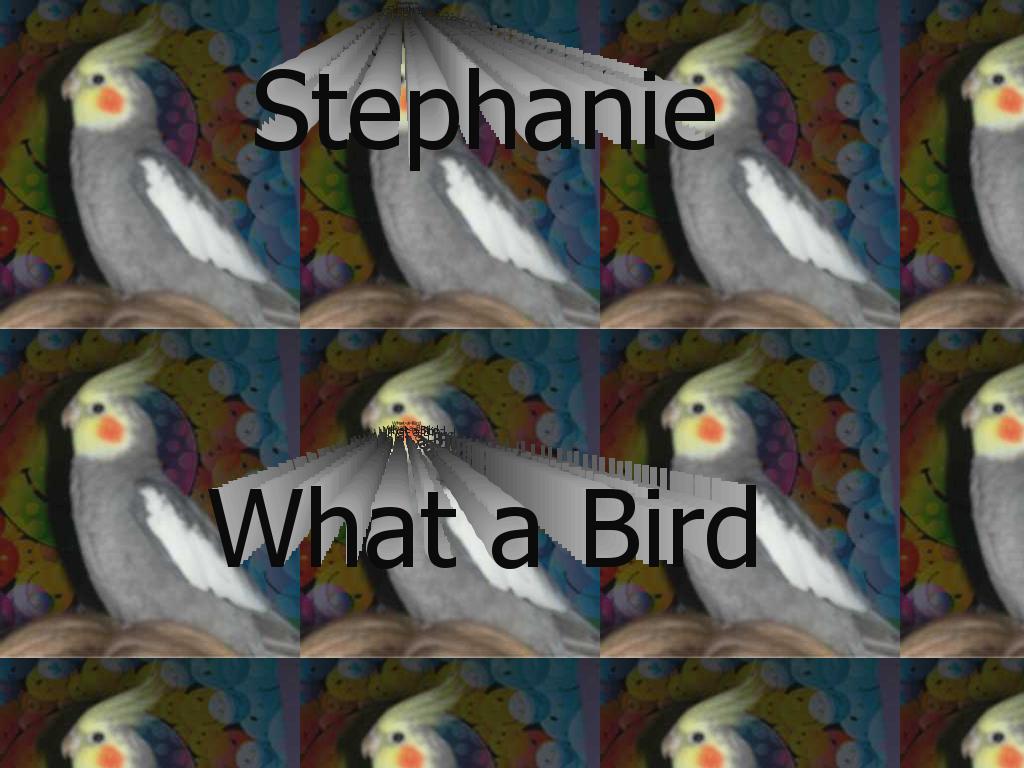 stephbird