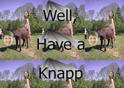 well, have a knapp