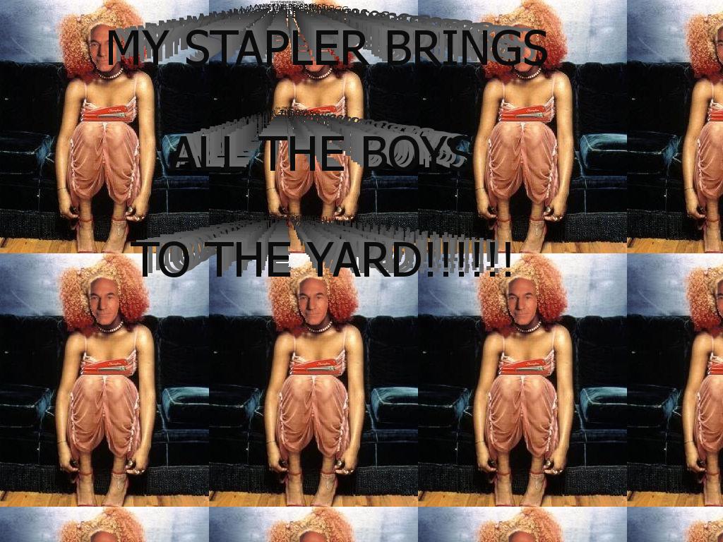 mystaplerbringsalltheboystotheyard