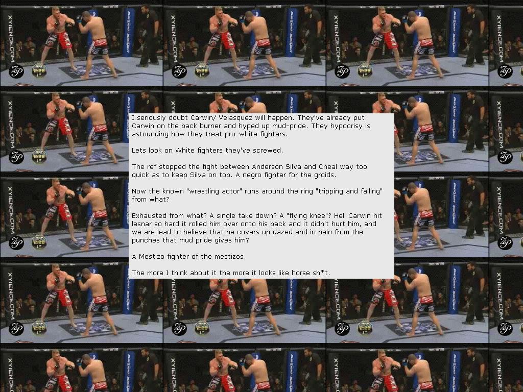 ufc121racism