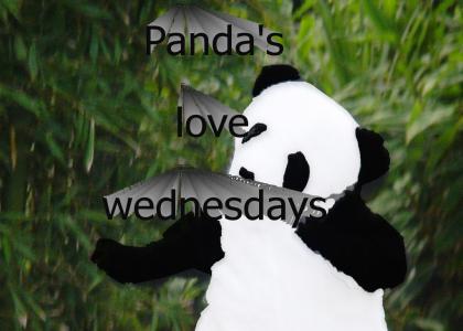Panda loves wednesdays