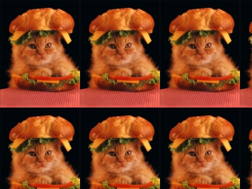 catwich