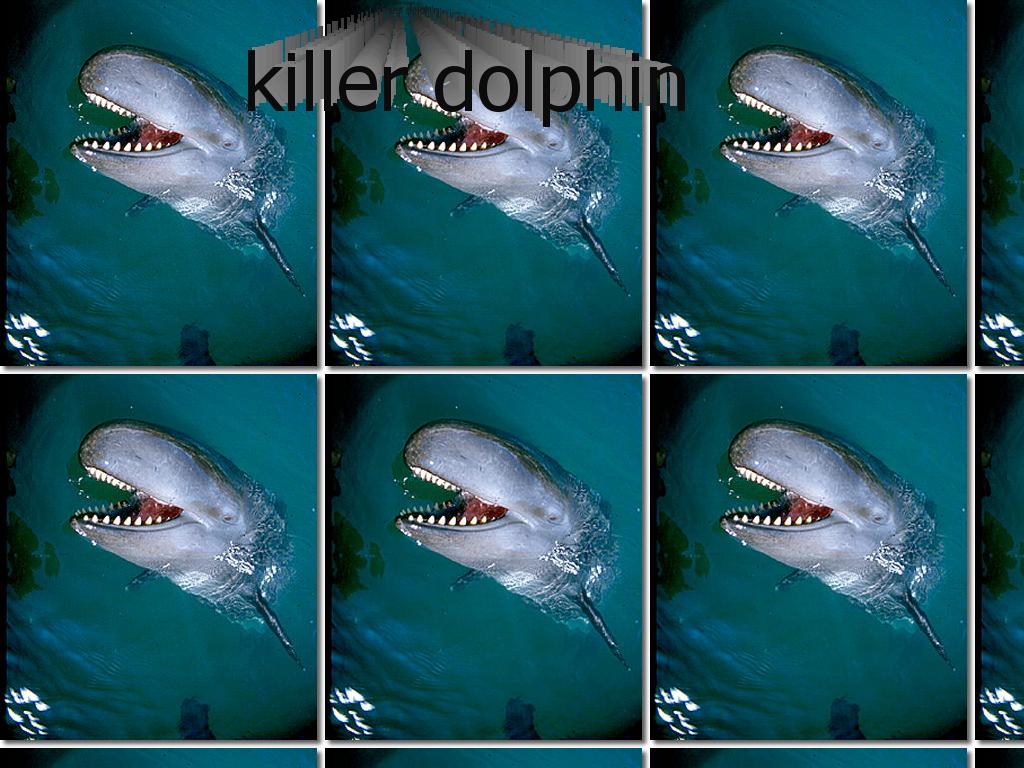 killer-dolphin