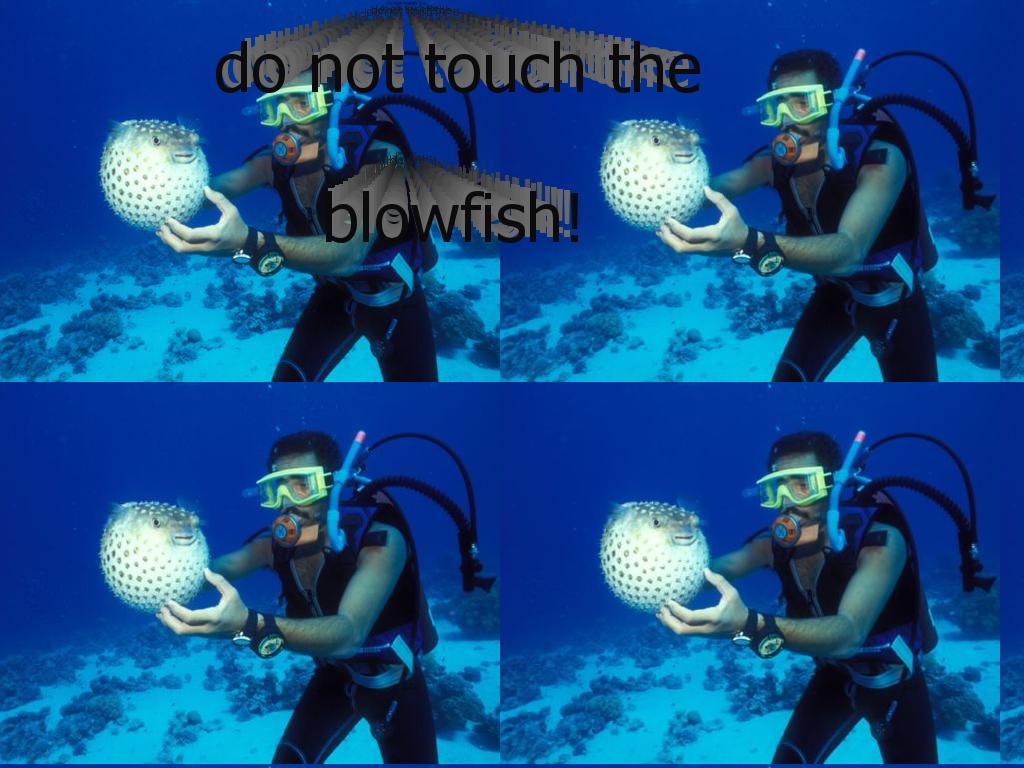 donottouchtheblowfish