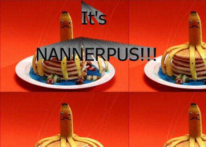 it's nannerpus!!