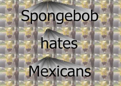 Sponge the Racist