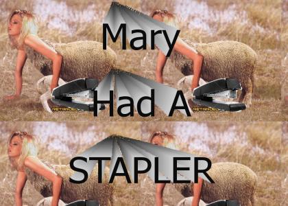 Mary had a little stapler