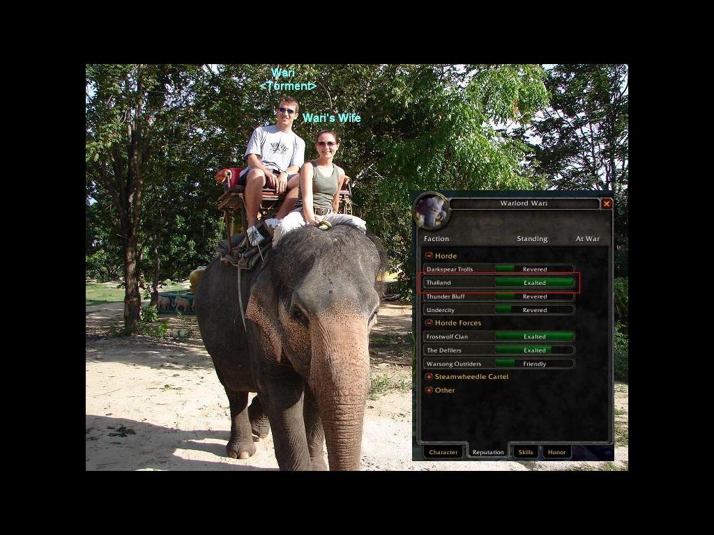 elephantride