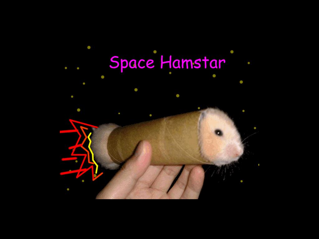 spacehamstar