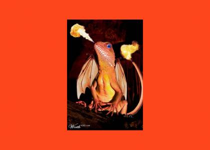 Charizard is real!!