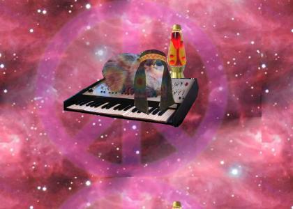 60scatonakeyboardinspace