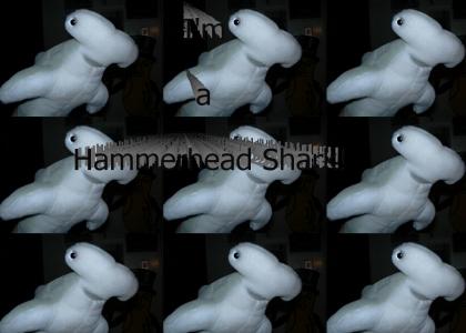 I'm a Hammerhead Shark!