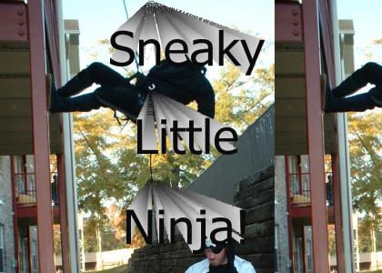 Ninjas are very sneaky!