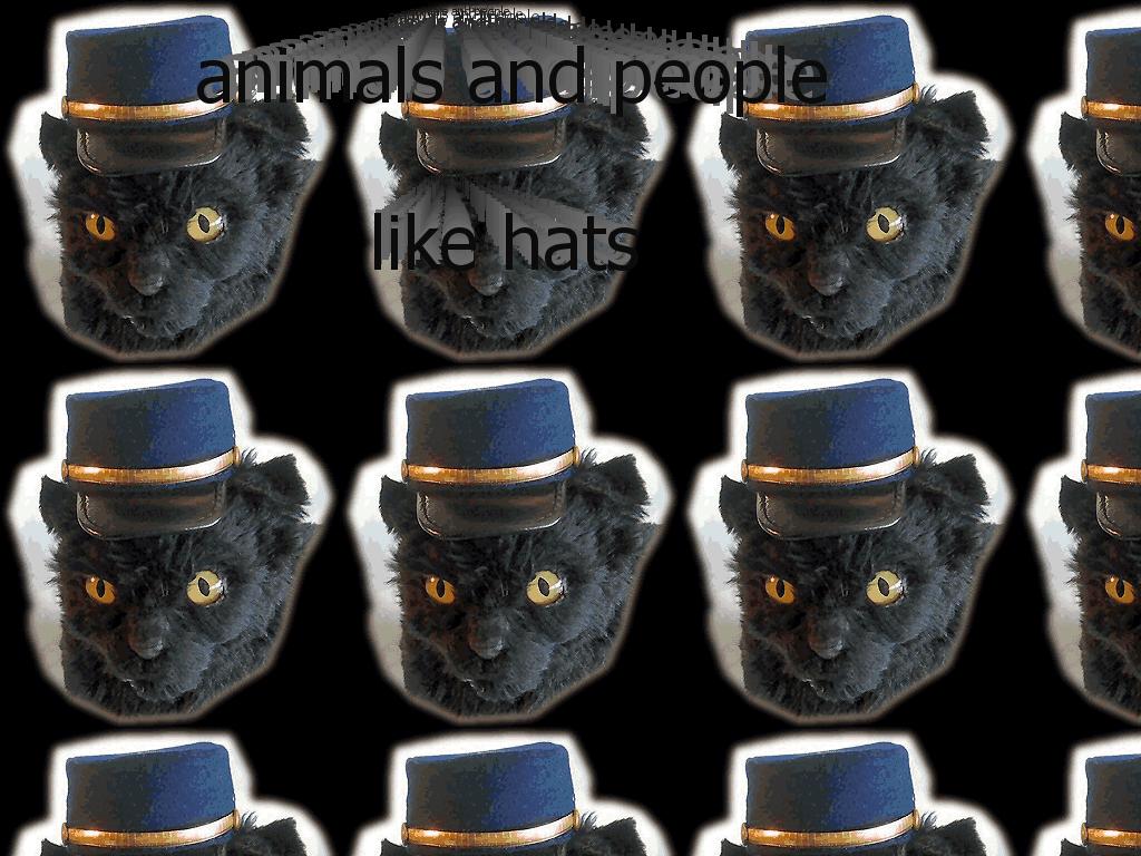 hatsonfake