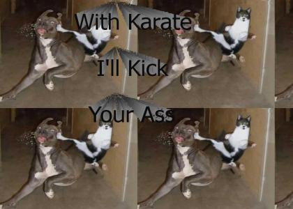 With Karate I'll kick your ass