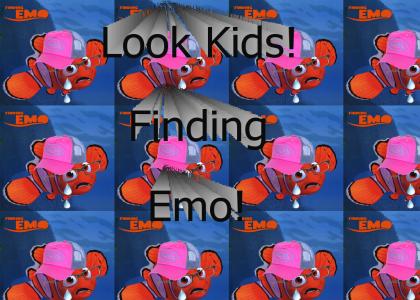 Finding Emo