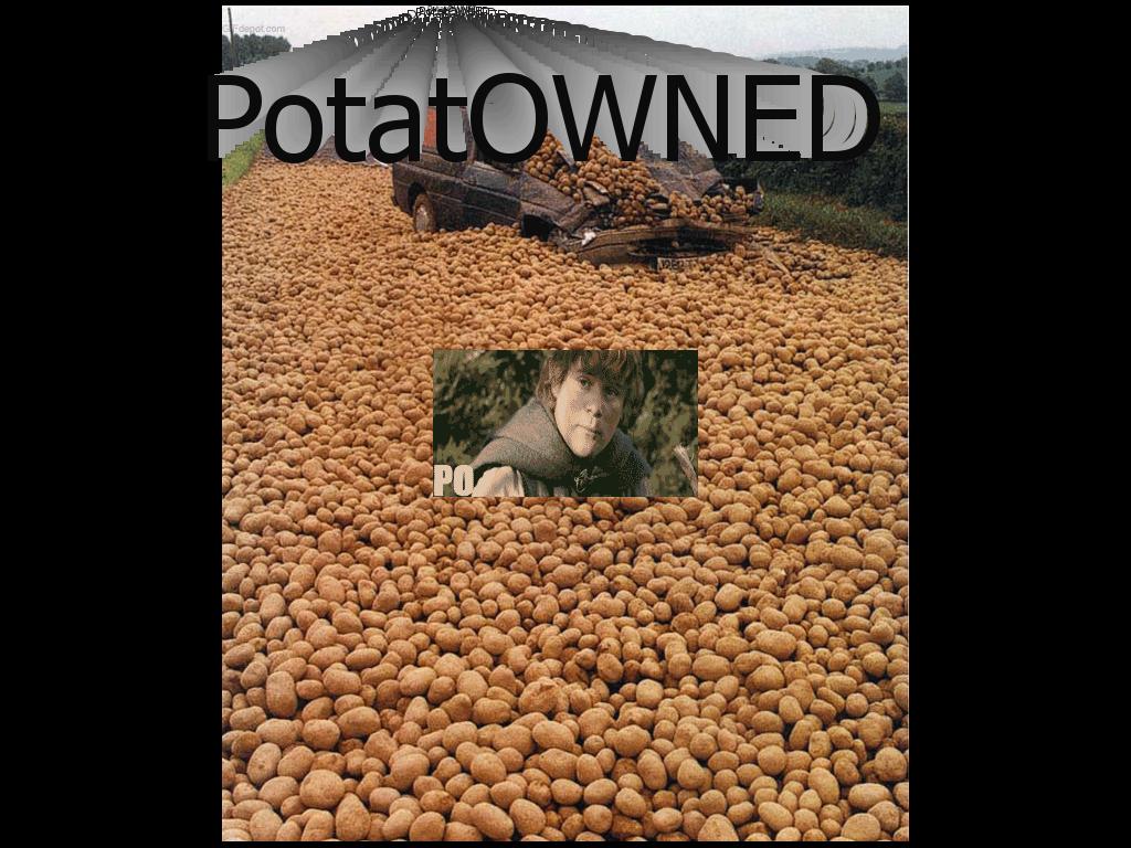 potatocrash