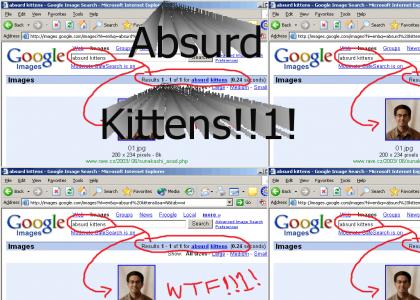 Abusrd Kittens