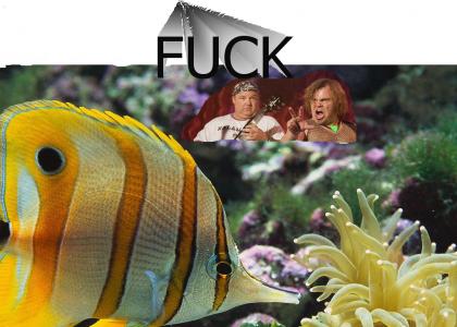 Tenacious D loves Fuckfish