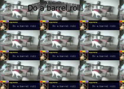 Do a BARREL ROLL!