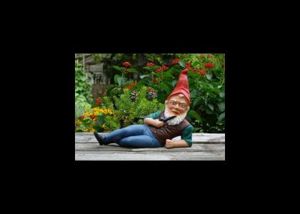 Sexy Euro Gnome