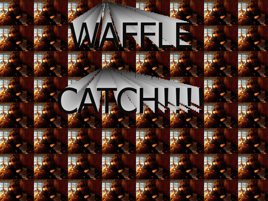 wafflecatch