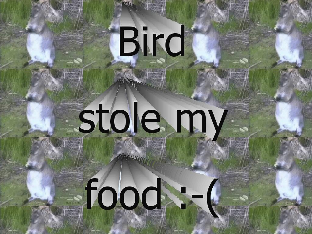 birdstolemyfood