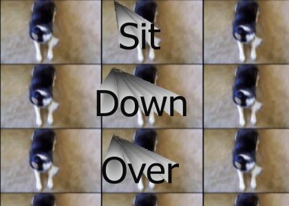 Sit Down Over