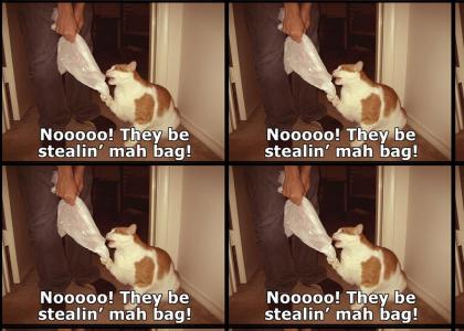 Y THEY STEAL MAH BAG???