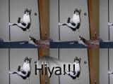 Hiya!!!