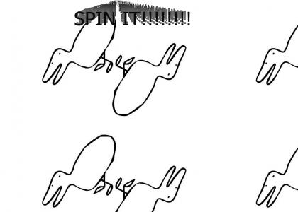 duck spin 2 (now with more spin)