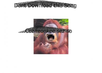 Monkey sez Monkey Do - He sez Dont Download Dis Song
