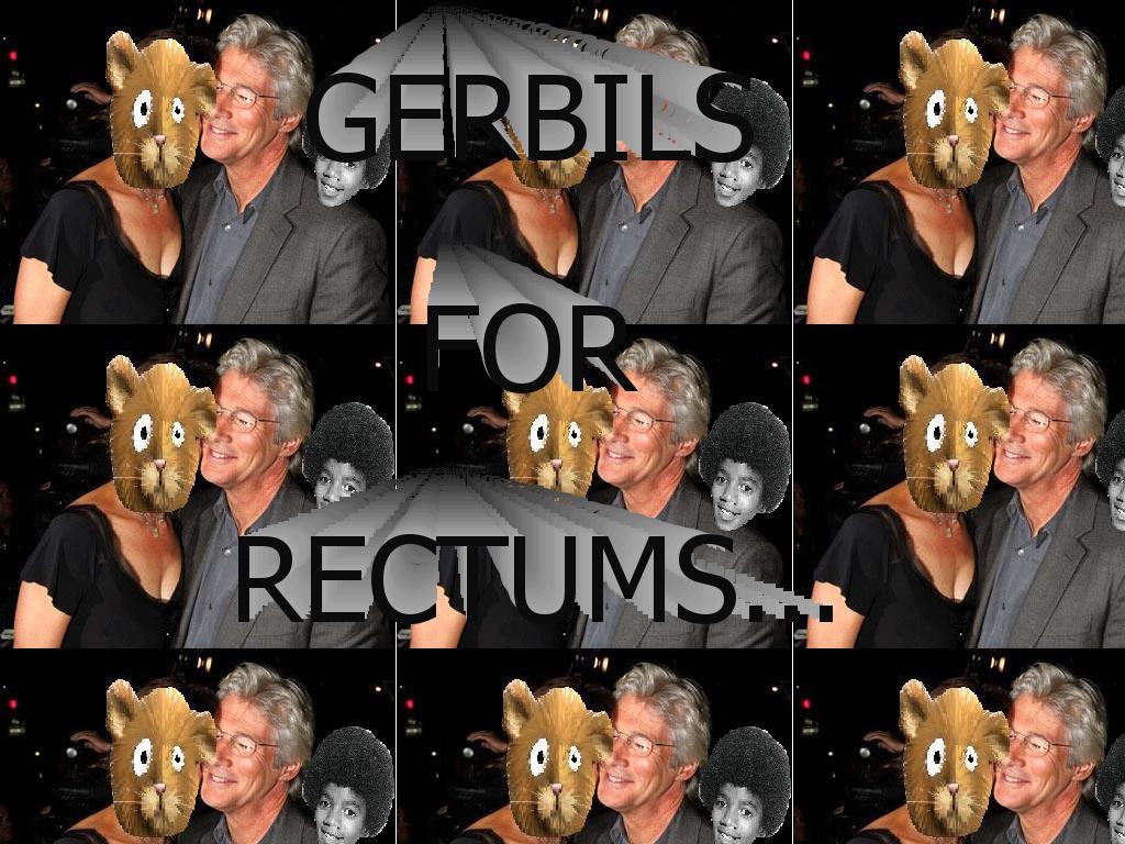 gerbilsforrectums