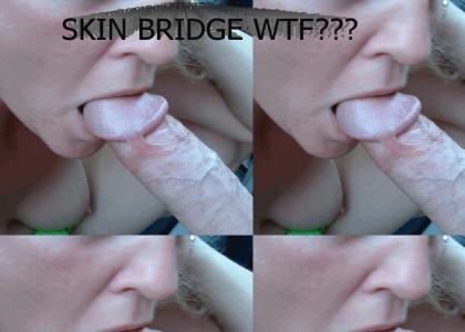 WTF is a  Skin Bridge?