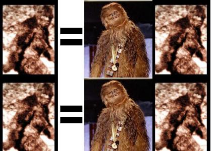 BIGFOOT IS A WOOKIE