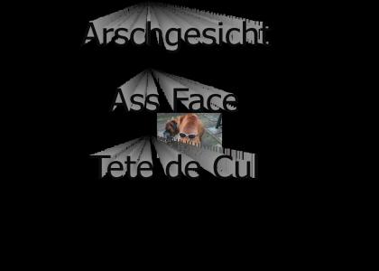 Arschgesicht = Ass Face = Tete de cul ( for french )
