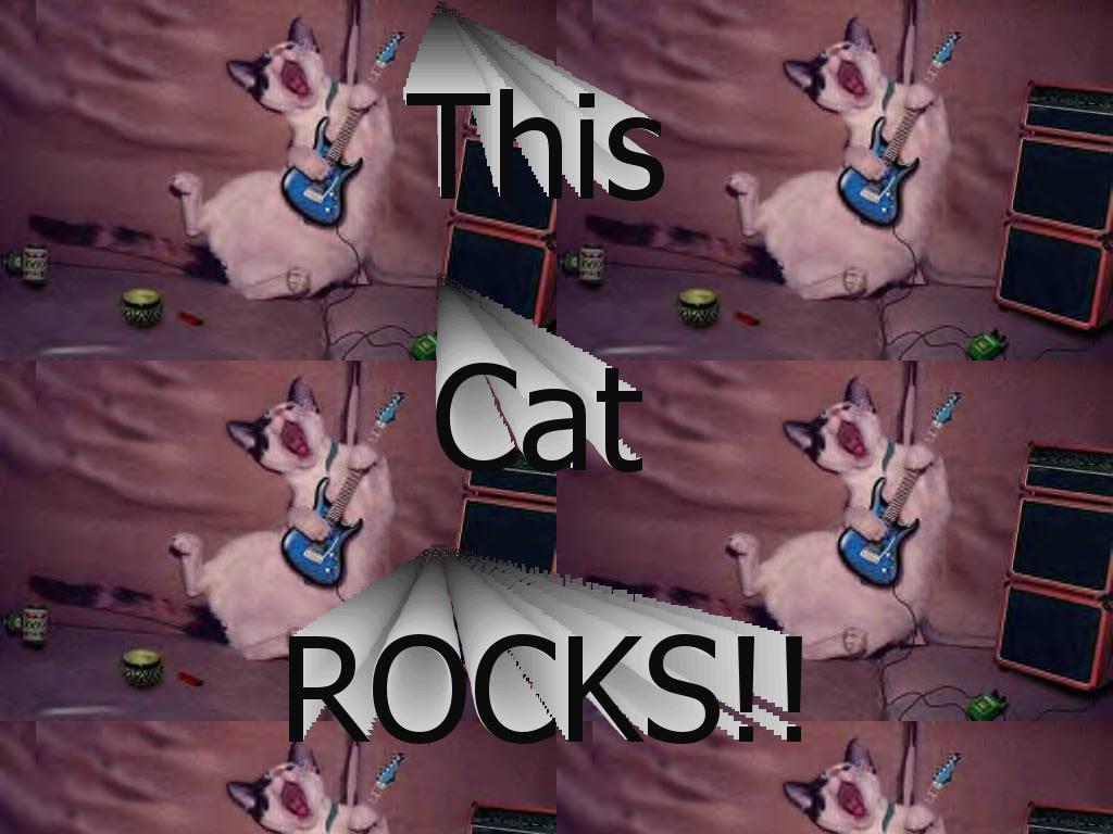 rockercat