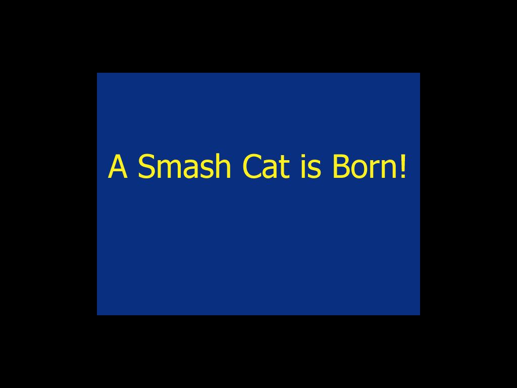 smashcat