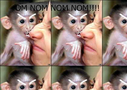 MonkeyNomNom