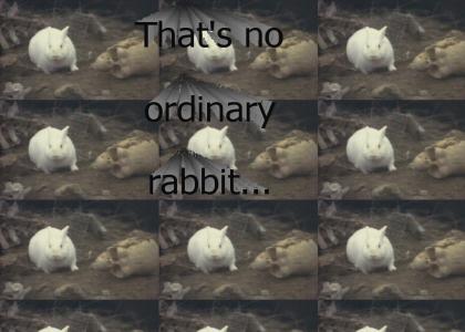 Psycho Rabbit!