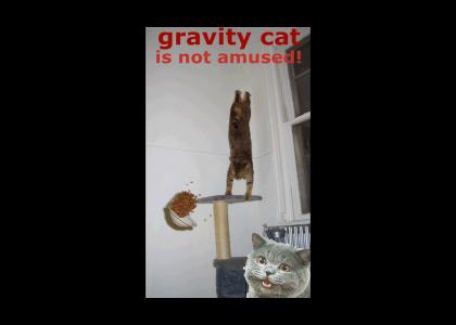 Gravity Cat >>> NEDM  (refresh!!!!!)
