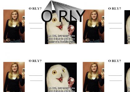 Laura is O rly owl