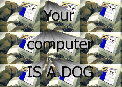 Your computer is now a dog