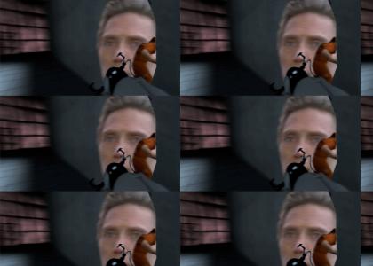 Walken Around in Portals