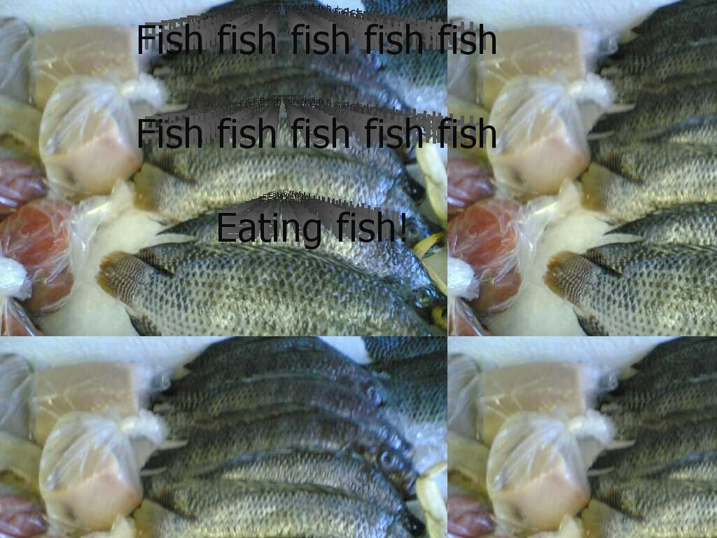 fishfishfishfishfishfish