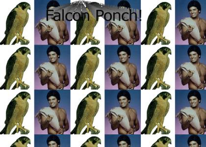 Falcon Ponch!